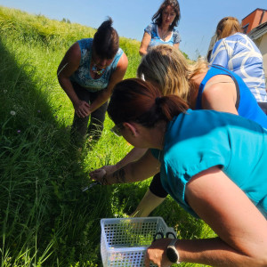 Waltraud Schwindsackl - Erfolgsstory mit Kräuterwissen