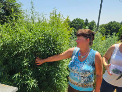 Waltraud Schwindsackl - Erfolgsstory mit Kräuterwissen