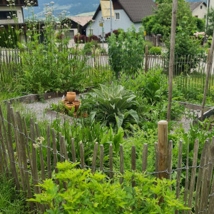 Waltraud Schwindsackl - Erfolgsstory mit Kräuterwissen