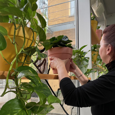 Julia Schlechta - von der Einrichtungs-Leidenschaft zum eigenen Business Traum der wahr wurde Julia Schlechta - von der Einrichtungs-Leidenschaft zum eigenen Business Traum der wahr wurde