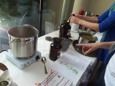Meisterkräuter Teezubereitung bei BaBlü im Kurs