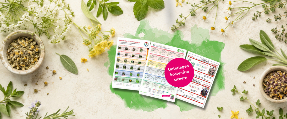 24 Meisterkräuter Starterpaket mit Übersicht, Kräuterglas-Etiketten und Tabelle zum kostenfreien Download