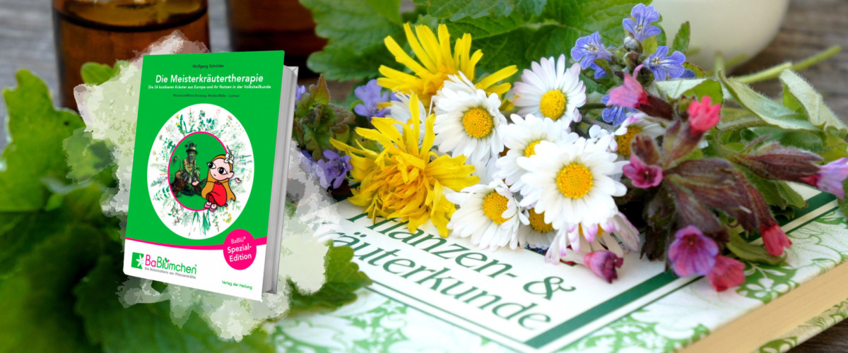 Meisterkräutertherapie Buch
