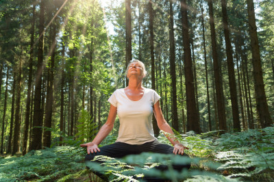 Dipl. Waldbaden-Trainer/in - inkl. Waldapotheke & Waldaromatherapie