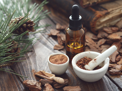 Waldaromatherapie mit ätherischen Ölen aus Nadeln, Holz und Harz