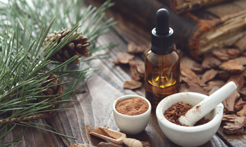 Waldaromatherapie mit ätherischen Ölen aus Nadeln, Holz und Harz