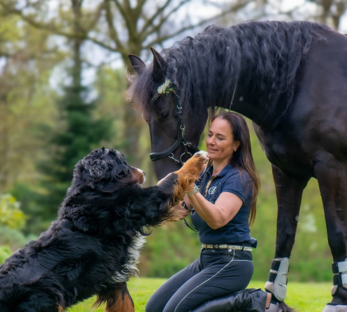 Frau im Kontakt mit Hund und Pferd – achtsamer Umgang, ruhige Körpersprache und bewusste Kommunikation mit Tieren.