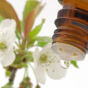 Bachblüten Essenzen - Fotolia Schlierner  Bachblüten Essenzen - Fotolia Schlierner