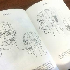 Bachblüten Hautzonen - die 243 seelischen Reflexzonen des Menschen Bachblüten Hautzonen - die 243 seelischen Reflexzonen des Menschen