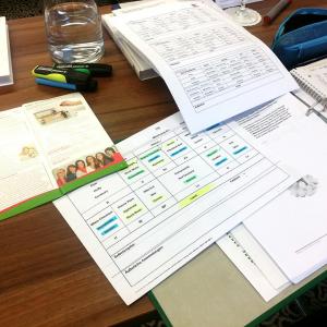 Die Arbeit mit dem Auswertungsblatt in chronischen Fällen vereinfacht die Reihenfolge der Gabe der Blüten Die Arbeit mit dem Auswertungsblatt in chronischen Fällen vereinfacht die Reihenfolge der Gabe der Blüten