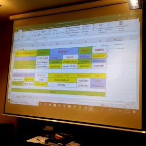 Die Bachblüten Schienen vereinfachen die Bachblütenarbeit Die Bachblüten Schienen vereinfachen die Bachblütenarbeit