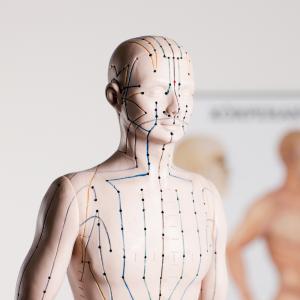 Bachblüten und Akupunkturmeridiane der TCM - Fotolia Bachblüten und Akupunkturmeridiane der TCM - Fotolia