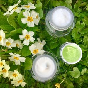 Naturkosmetik - Herausforderungen beim Vertrieb und der Einhaltung der EU-Kosmetikverordnung Naturkosmetik - Herausforderungen beim Vertrieb und der Einhaltung der EU-Kosmetikverordnung