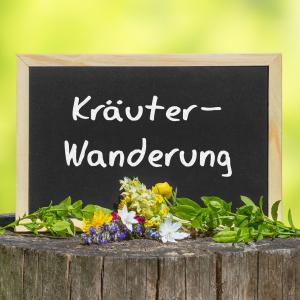 In der Dipl. Kräuterfachfrau/mann Heilkräuterpädagogik Ausbildung erwartet Sie ganz viel Praxis auch bei Kräuterwanderungen und Pflanzenbestimungs-Übungen - Fotolia Jamrooferpix In der Dipl. Kräuterfachfrau/mann Heilkräuterpädagogik Ausbildung erwartet Sie ganz viel Praxis auch bei Kräuterwanderungen und Pflanzenbestimungs-Übungen - Fotolia Jamrooferpix