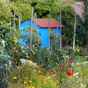 Kräuteranbau im Bauerngarten und Stadtgarten - ein Modul der Ausbildung zur Dipl. Kräuterfachfrau/mann Kräuterpädagogik Ausbildung in Österreich - Fotolia Kräuteranbau im Bauerngarten und Stadtgarten - ein Modul der Ausbildung zur Dipl. Kräuterfachfrau/mann Kräuterpädagogik Ausbildung in Österreich - Fotolia
