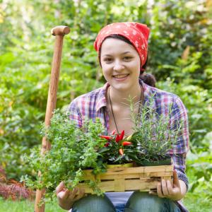 Werden auch Sie Dipl. Kräuterfachfrau/mann - Kräuterpädagogin - in unserer Ausbildung lernen Sie alles für die Praxis und Beruf - Fotolia Cornelia Pithart