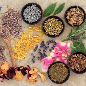 Dipl. Kräuterfachfrau/mann - alles über Kräuter und Heilpflanzen lernen bei BaBlü - Fotolia Marilyn Barbone Dipl. Kräuterfachfrau/mann - alles über Kräuter und Heilpflanzen lernen bei BaBlü - Fotolia Marilyn Barbone