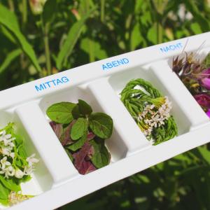 Dipl. Kräuterfachfrau/mann Ausbildung - Kräuterrezepte aus der Naturmedizin, Wissen über Kräuter und Heilpflanzen lernen - Fotolia goldbany Dipl. Kräuterfachfrau/mann Ausbildung - Kräuterrezepte aus der Naturmedizin, Wissen über Kräuter und Heilpflanzen lernen - Fotolia goldbany
