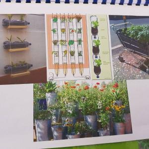Dipl. Kräuterfachfrau/mann Heilkräuterpädagogik - Modul Bauerngarten und Stadtgarten - Konzepte für Urban Gardening und Vertikalgärtnern