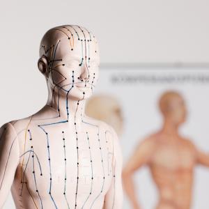 Akupunkturmeridiane - Fotolia Akupunkturmeridiane - Fotolia