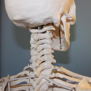 R.E.S.E.T. Kieferbalance Kinesiologie Ausbildung R.E.S.E.T. Kieferbalance Kinesiologie Ausbildung