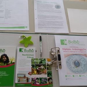 Dipl. Iridologe/in (Irisdiagnose und Irisinterpretation) Ausbildung  Dipl. Iridologe/in (Irisdiagnose und Irisinterpretation) Ausbildung