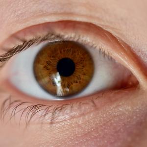 Iridologie - Irisdiagnose Grundausbildung Iridologie - Irisdiagnose Grundausbildung