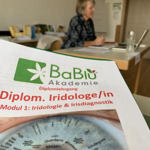 Dipl. Iridologe/in (Irisdiagnose und Irisinterpretation) Ausbildung 