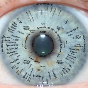 Dipl. Iridologe/in (Irisdiagnose und Irisinterpretation)