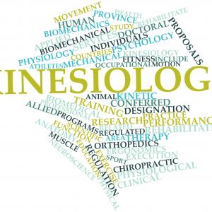 Dipl. Kinesiologin - Touch for Health (Foto: Fotolia)