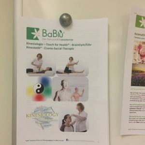 Dipl. Kinesiologin - Touch for Health Kurs Dipl. Kinesiologin - Touch for Health Kurs