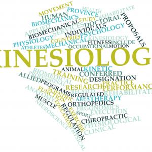 Kinesiologie - Fotolia