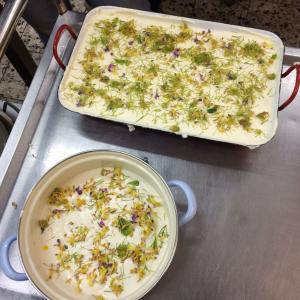 Dipl. Kräuterfachfrau/mann Heilkräuterpädagogik - Kräuterküche im Praxiskurs nach der Frühlingskräuterwanderung inkl. Rezepte Dipl. Kräuterfachfrau/mann Heilkräuterpädagogik - Kräuterküche im Praxiskurs nach der Frühlingskräuterwanderung inkl. Rezepte