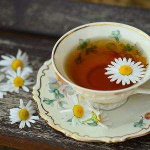 Tee - Kräuter und Heilpflanzen als Tee für die Gesundheit - Kräuterkurse in Österreich in der BaBlü Akademie