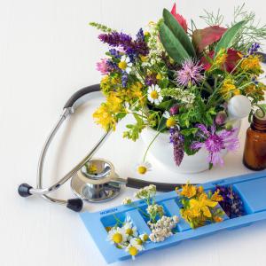 Heilkräuterpädagogik - Kräuterapotheke, Heilpflanzen, Naturapotheke für die Selbsthilfe oder als Beruf lernen - AdobeStock Heilkräuterpädagogik - Kräuterapotheke, Heilpflanzen, Naturapotheke für die Selbsthilfe oder als Beruf lernen - AdobeStock