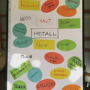 Dipl. TCM Ernährungsberater/in Praxis Dipl. TCM Ernährungsberater/in Praxis