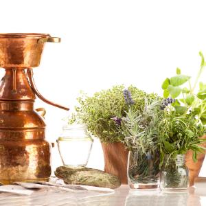 Destille zur Herstellung von ätherischen Ölen und Hydrolaten - Fotolia steinerpicture Destille zur Herstellung von ätherischen Ölen und Hydrolaten - Fotolia steinerpicture