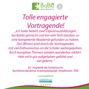 Das sagen unsere AbsolventInnen Das sagen unsere AbsolventInnen