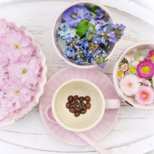 Spezialkurs - Psycho Aromapflege   Spezialkurs - Psycho Aromapflege