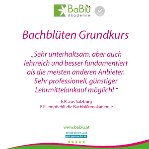 Das sagen unsere AbsolventInnen Das sagen unsere AbsolventInnen