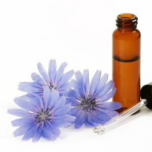 Bachblüten - Fotolia Johanna Mühlbauer Bachblüten - Fotolia Johanna Mühlbauer