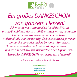 Das sagen unsere AbsolventInnen Das sagen unsere AbsolventInnen