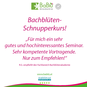 Das sagen unsere AbsolventInnen Das sagen unsere AbsolventInnen