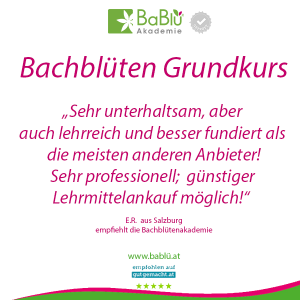 Das sagen unsere AbsolventInnen Das sagen unsere AbsolventInnen