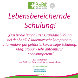 Das sagen unsere AbsolventInnen Das sagen unsere AbsolventInnen