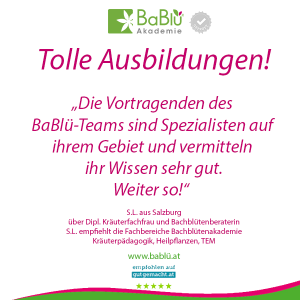 Das sagen unsere AbsolventInnen Das sagen unsere AbsolventInnen