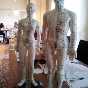 Akkupunkturmeridiane Akkupunkturmeridiane