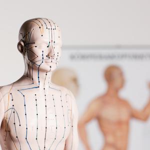Kineosiologie Meridiane Modell - AdobeStock Rob Kineosiologie Meridiane Modell - AdobeStock Rob