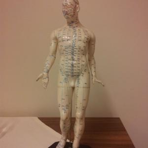 Kinesiologie Hyperton X 1 Kinesiologie Hyperton X 1