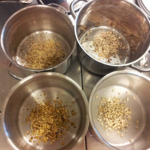 Die Meisterkräutertherapie - Europäische Kräuterkunde nach TCM Seminar Die Meisterkräutertherapie - Europäische Kräuterkunde nach TCM Seminar